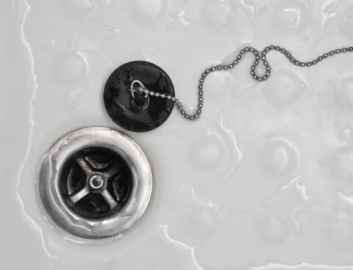 Hair today, Clog Tomorrow: 5 Ways to Unclog a Shower Drain